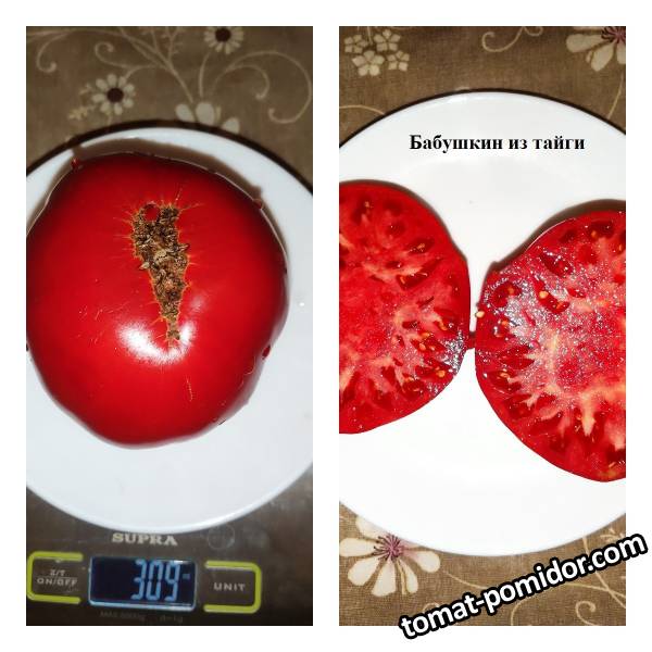 Бабушкин из тайги 05.09.22.jpg