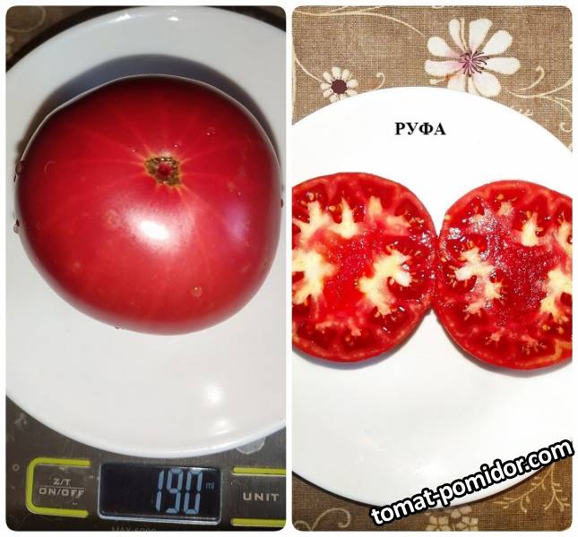 Руфа.jpg