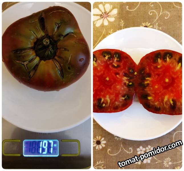 гном ППИ 28.08.22.jpg