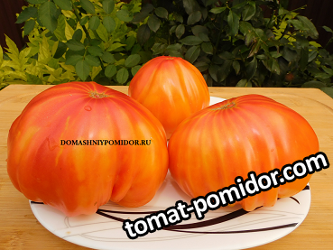 ананасовый пирог..png