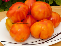 ананасовый помидор..png