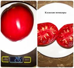 Клужские помидоры.jpg