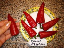 Piment d'Esplette (острый) 2.jpg