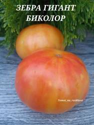 Polish_20220920_171349638.JPG
