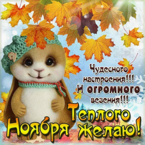 изображение_2022-11-01_092549895.png