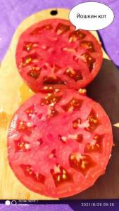 i - 2022-11-05T201550.607.jpg