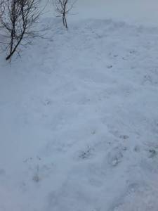 20221120_143741.thumb.jpg.be238db49c8a4fbc8908f87d49269f83.jpg