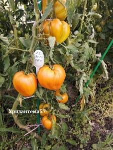 Озеро Брет.jpg