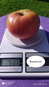 i - 2022-11-05T201606.636.jpg