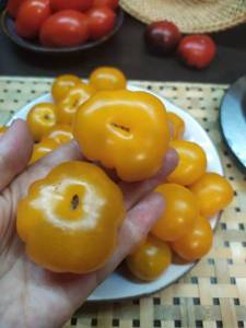 IMG-20221111-WA0006.jpg