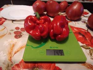 IMG_20210824_120437.thumb.jpg.f5bcf1593befc91c5121cdd420ba4b04.jpg