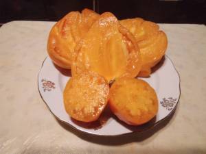 IMG_20221010_231759.thumb.jpg.bc7bd6d36df7dca95061a8458e80f530.jpg