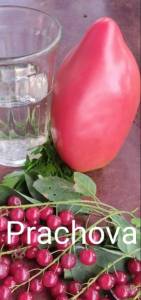 IMG_20221125_071315.jpg