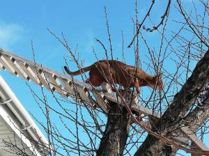 IMG_20221128_121449.jpg
