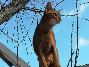 IMG_20221128_121459.jpg