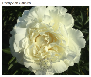 image.thumb.png.a099d7c02a181b43bc94f86d9fd8bbd0.png
