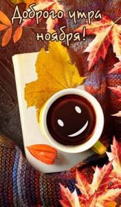 kartinka-dobroe-utro-noyabrya.thumb.jpg.6a487790a9213374f375e8767a3150a0.jpg