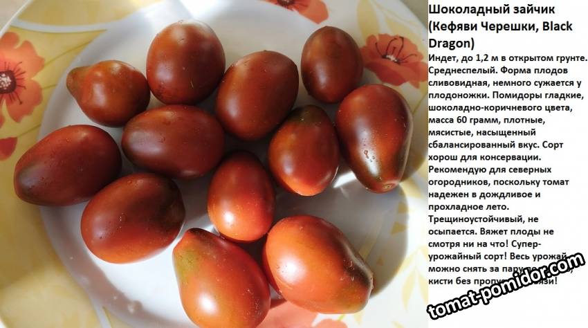 шоколадный зайчик.jpg