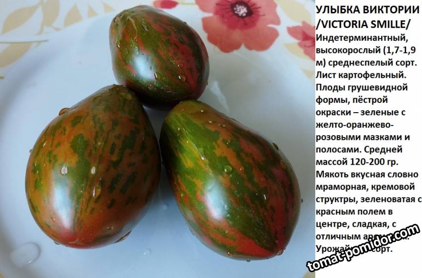 улыбка виктории.jpg