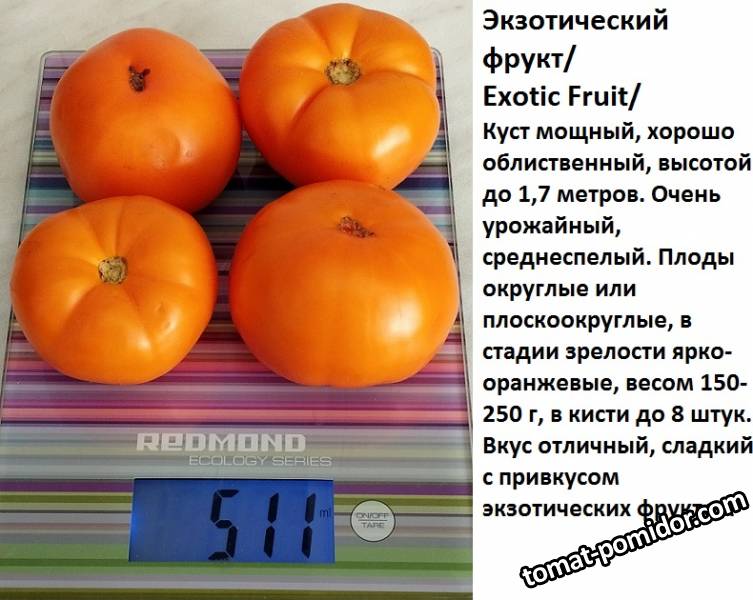 экзотический фрукт.jpg