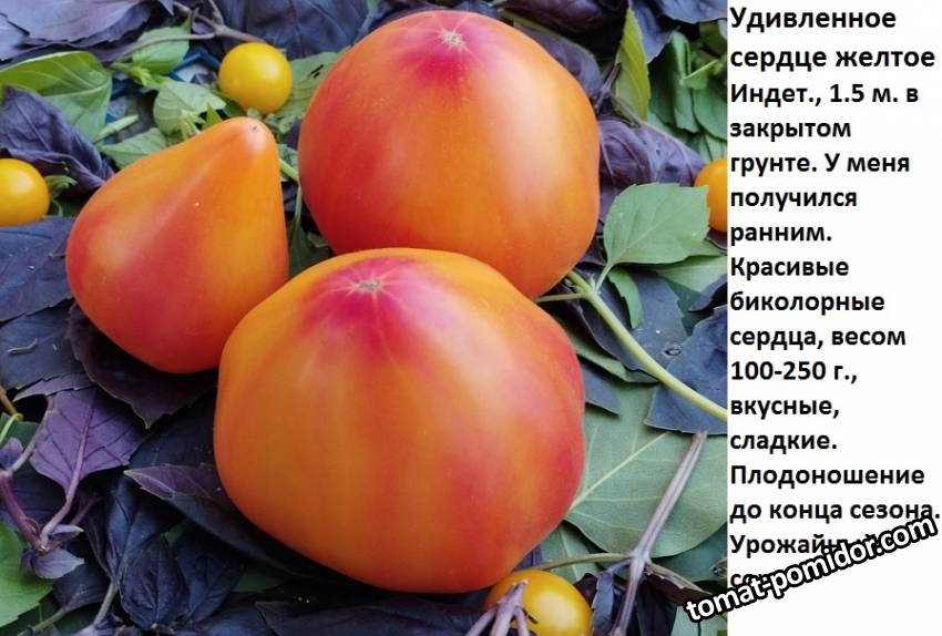 удивленное влюбл. сердце желтое.jpg