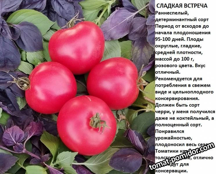 сладкая встреча.jpg