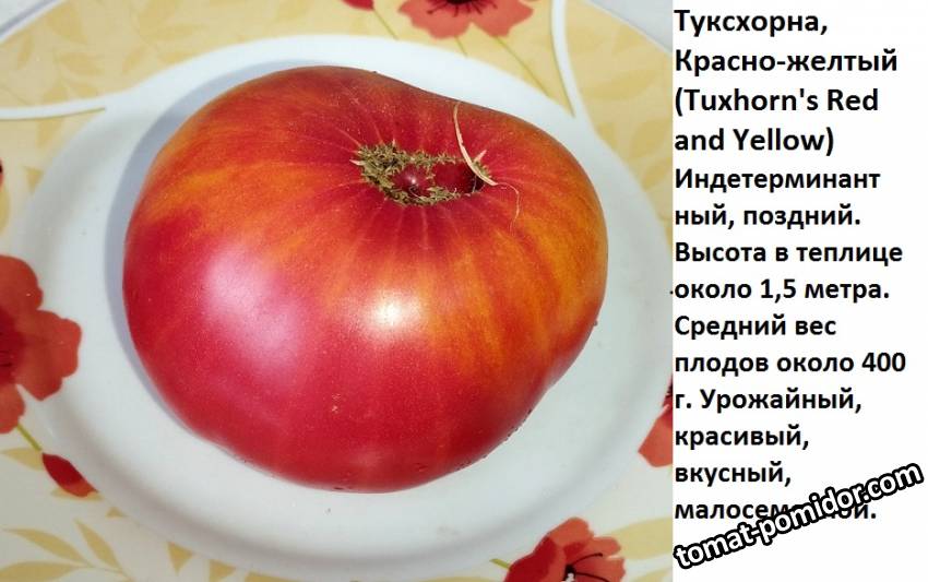 тусхорна красно-желтый.jpg