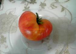Лаки Кросс