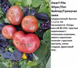 гном пит вайпер.jpg