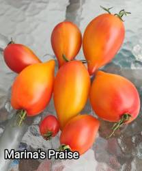 Marina's Praise (Похвала Марины)