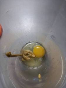 20221202_093914.thumb.jpg.82ccda7f958a12680340b82800c70cc2.jpg
