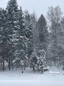 D100000A-3157-4D69-AA09-470F2F7C6895.jpeg