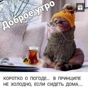 IMG-20221205-WA0002.jpg