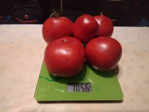 IMG_20220910_200355.thumb.jpg.f94a56d9a2bd7c136242fa786cc5876a.jpg