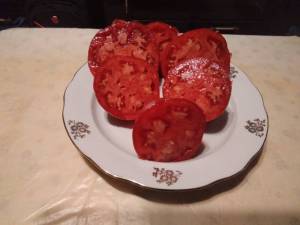 IMG_20220910_200803.thumb.jpg.d7c2a2e5ec681e1541a2aad849b88a17.jpg