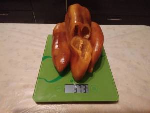 IMG_20220924_051136.thumb.jpg.f716ca5c750f685a9af76e831e5d25b1.jpg