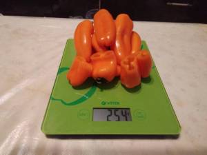IMG_20221009_210942.thumb.jpg.eab2c0d51a679bcd11c38fc3c2e3c3e0.jpg