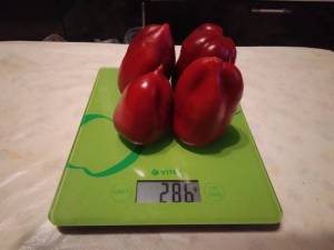 IMG_20221009_230030.thumb.jpg.aee8d7bf8b5f6d72019cade4669168a0.jpg