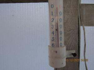 IMG_7087.thumb.JPG.94409b441ab04e6b9f77e2bf061b3e7c.JPG