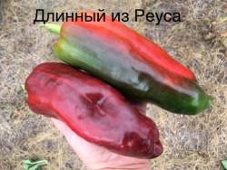 3 сентября