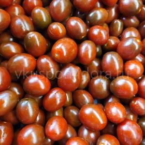1113919360_semena-tomata-sorta-Sekret-Pauliny-Paulinas-Secret-cherri-3-900x900.thumb.jpg.3265fe0b802e679871e74564d62015ec.jpg