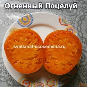 огн.поцелуй.jpg