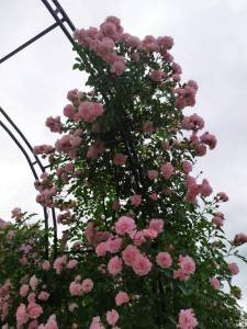 IMG-20230113-WA0010.jpg
