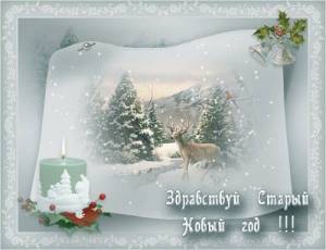 IMG-20230113-WA0018.jpg