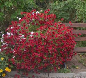 IMG-20230118-WA0010.jpg