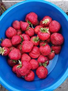 IMG_20220623_211959.thumb.jpg.8adf4c86afe979cd0df875c15e0d68c7.jpg