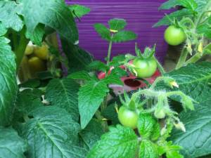 IMG_20230128_221053.jpg