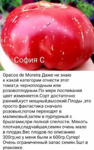 Screenshot_20221115-202046_OK.thumb.jpg.e99a27f0ac7b8da006950ea26028d624.jpg