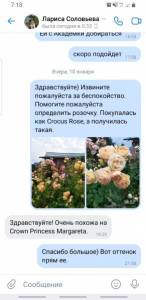 Screenshot_20230111-071836_VK.jpg