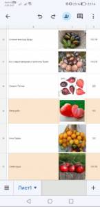 Screenshot_20230122_231443_com.google.android.apps.docs.editors.sheets.jpg
